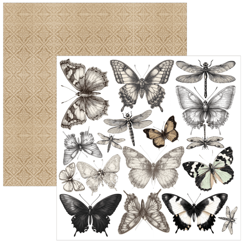 Ciao Bella – Typographic Fussy Cut Pad 6x6