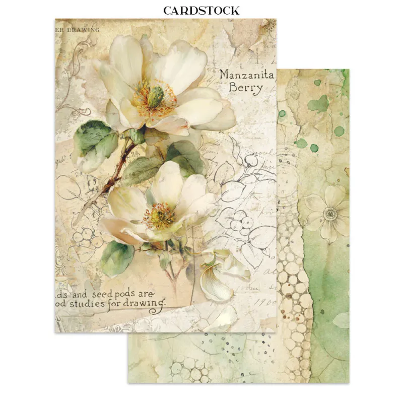 Stamperia All Around Junk Journal A5 – Focus Points