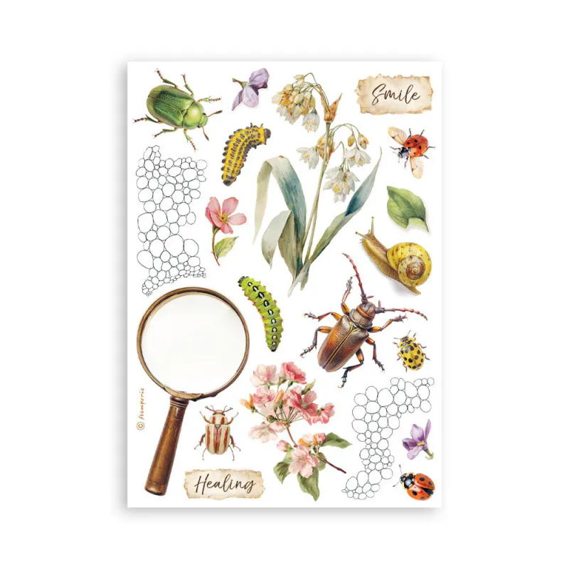 Stamperia – All Around A5 Washi Pad (8 ark)