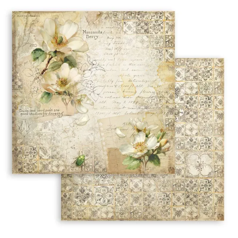 Stamperia – All Around 8x8 Inch Paper Pack